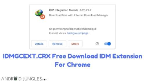 idm crx file missing