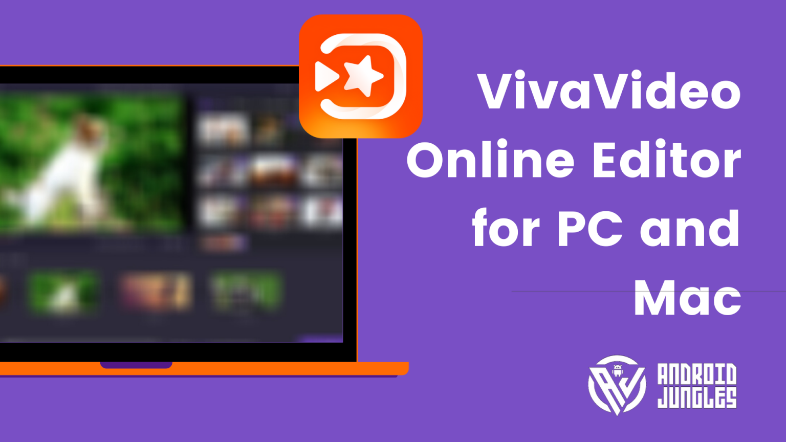 viva video online pc