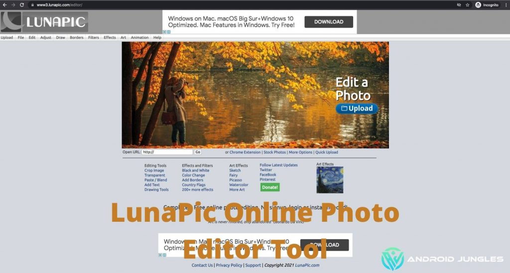 LunaPic Free Online Photo Editor- In detail Guide.