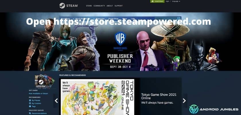Open httpsstore.steampowered.com